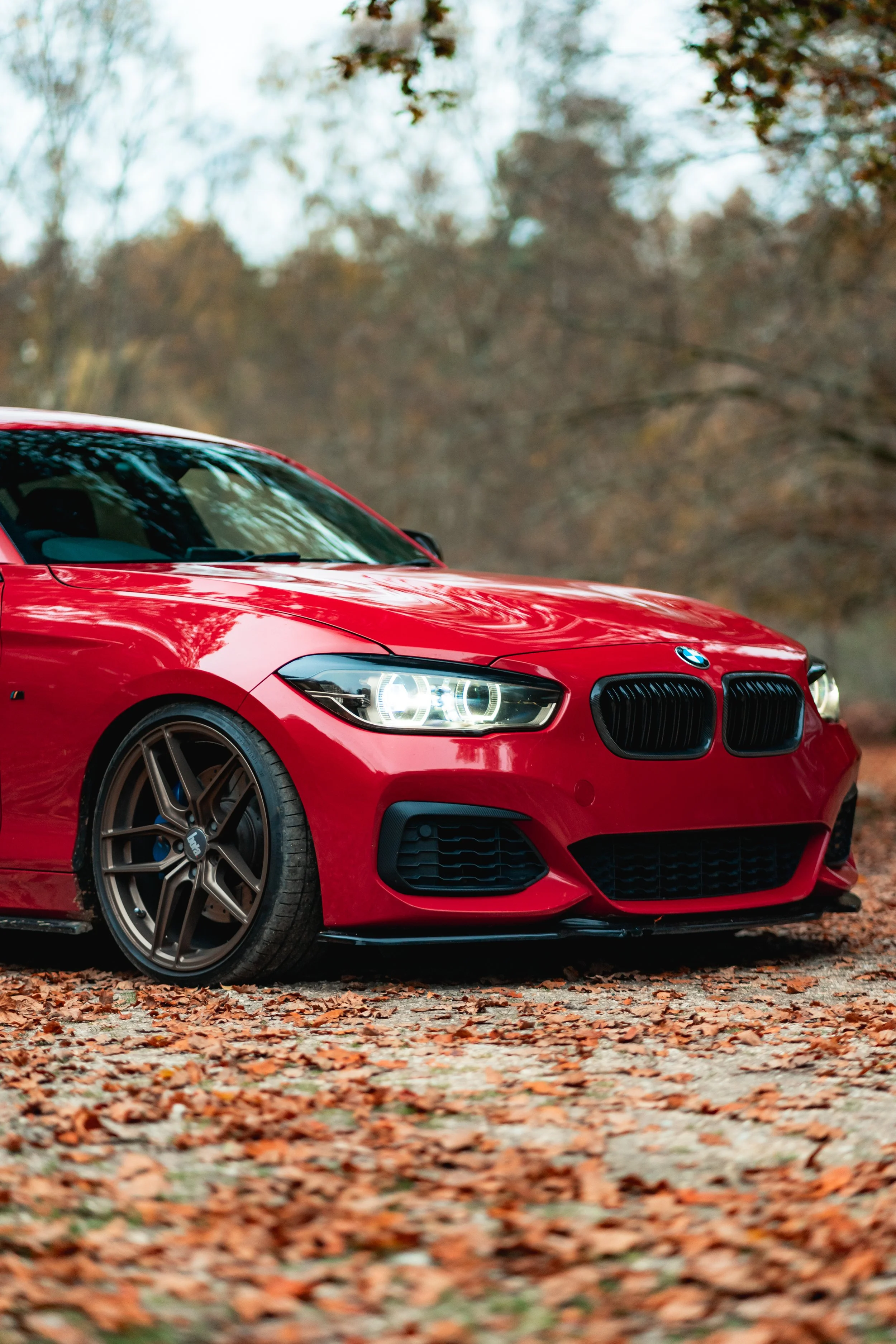 Red BMW car parked on a leaf-covered ground in a wooded area.