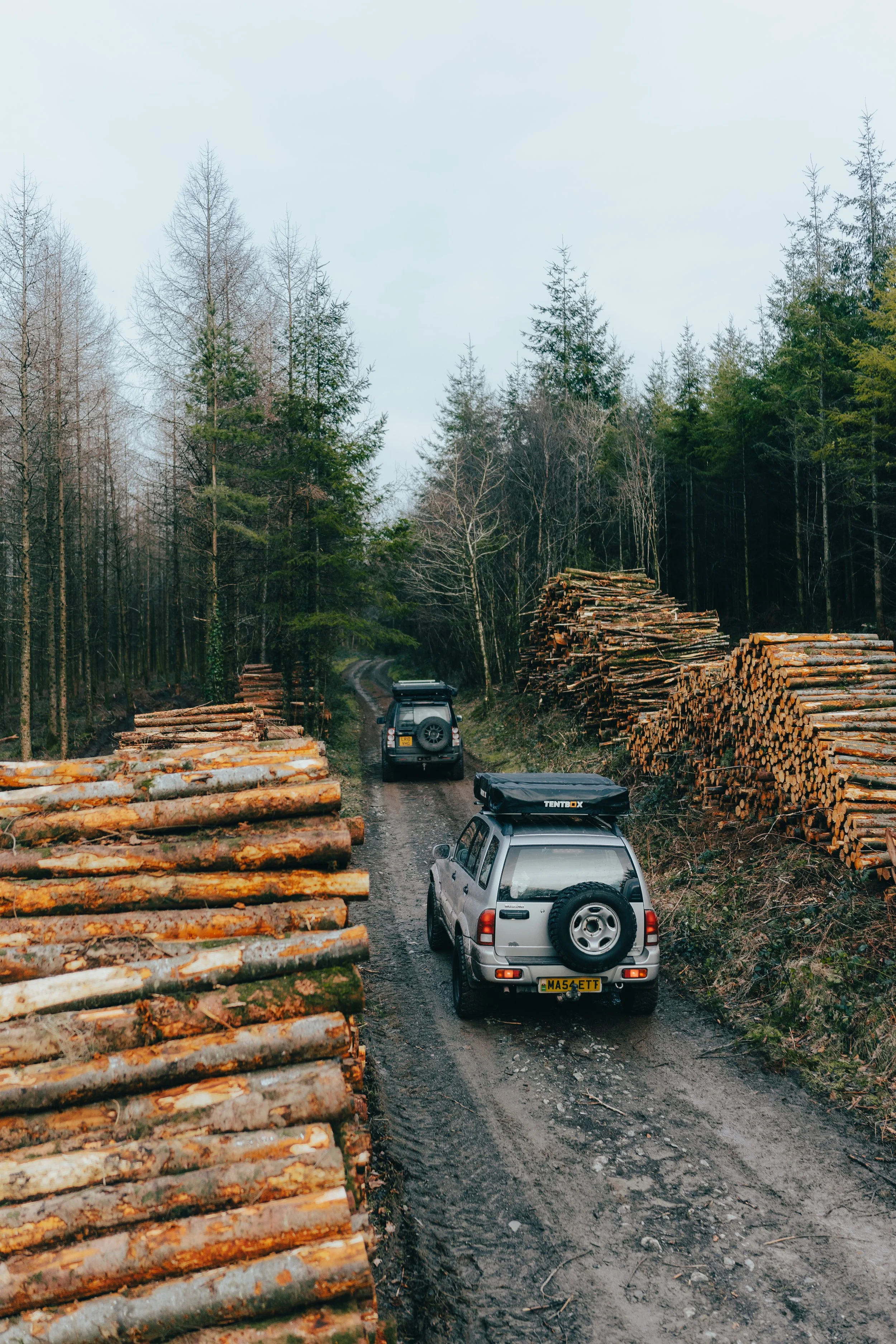 Two off-road vehicles driving on a muddy forest trail with large stacks of cut logs on either side, surrounded by tall trees.