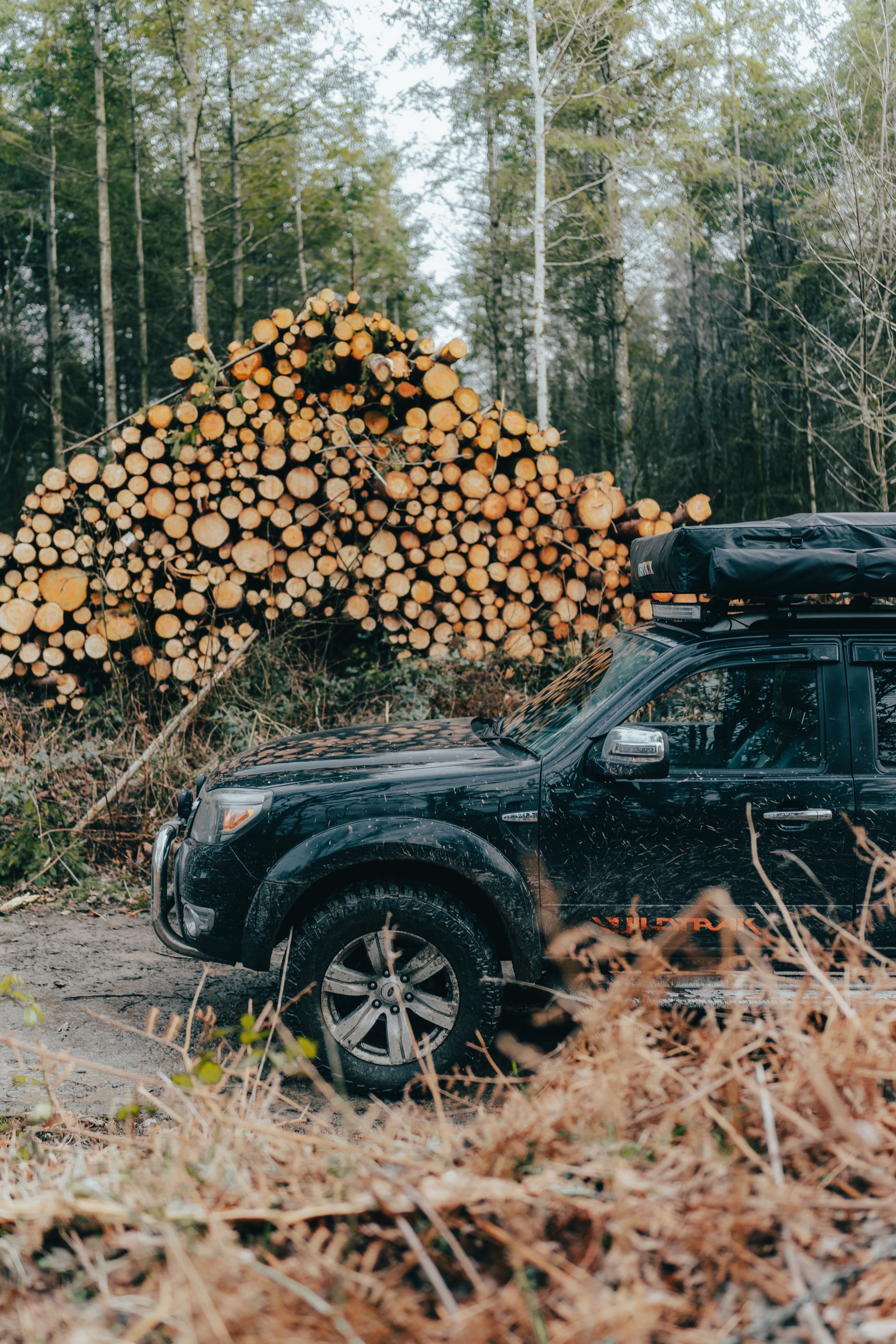 Off-road vehicle parked on a dirt road next to a large pile of cut logs in a wooded area.