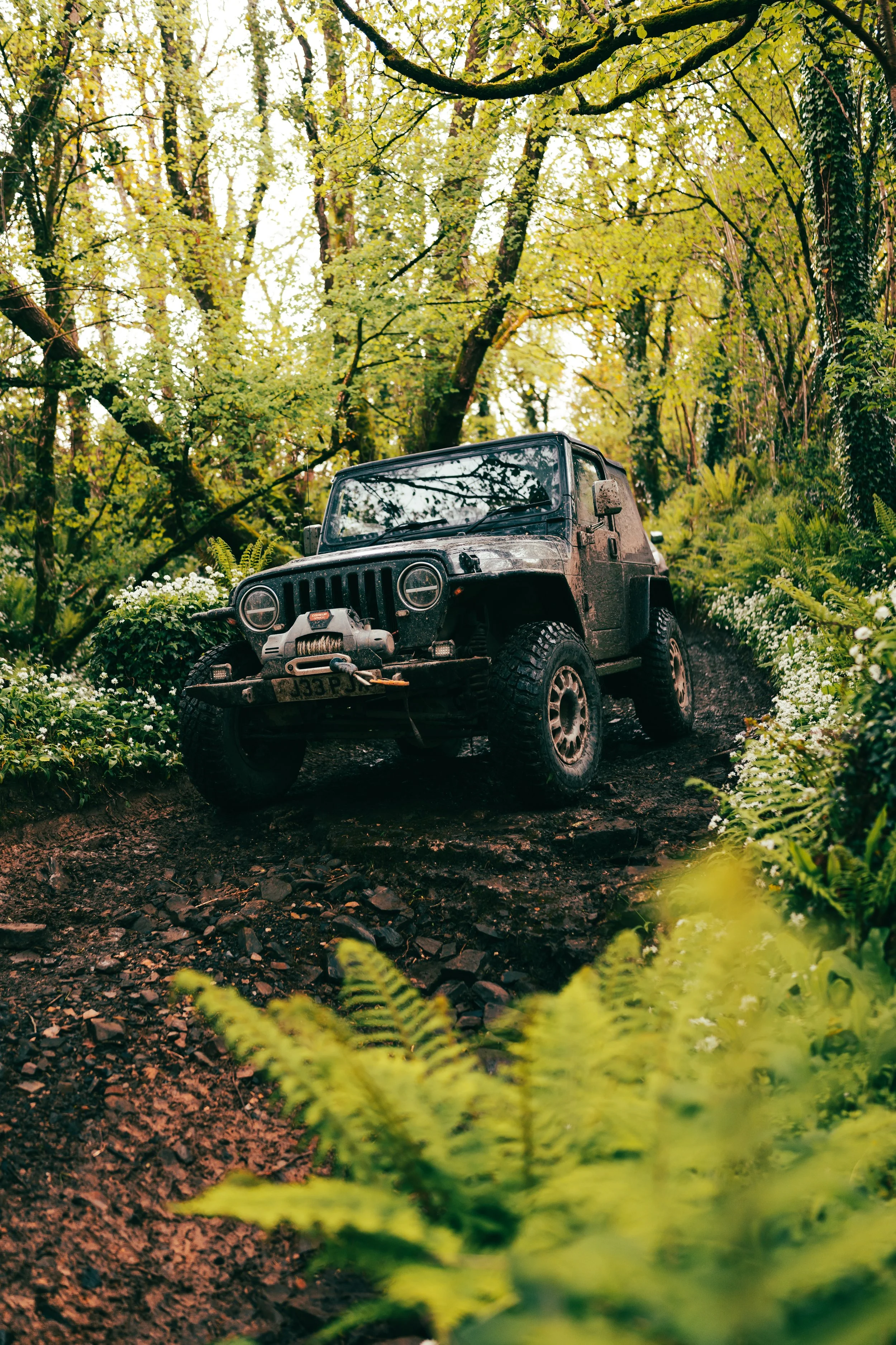A black off-road jeep driving on a muddy trail surrounded by lush green trees and plants in a dense forest.