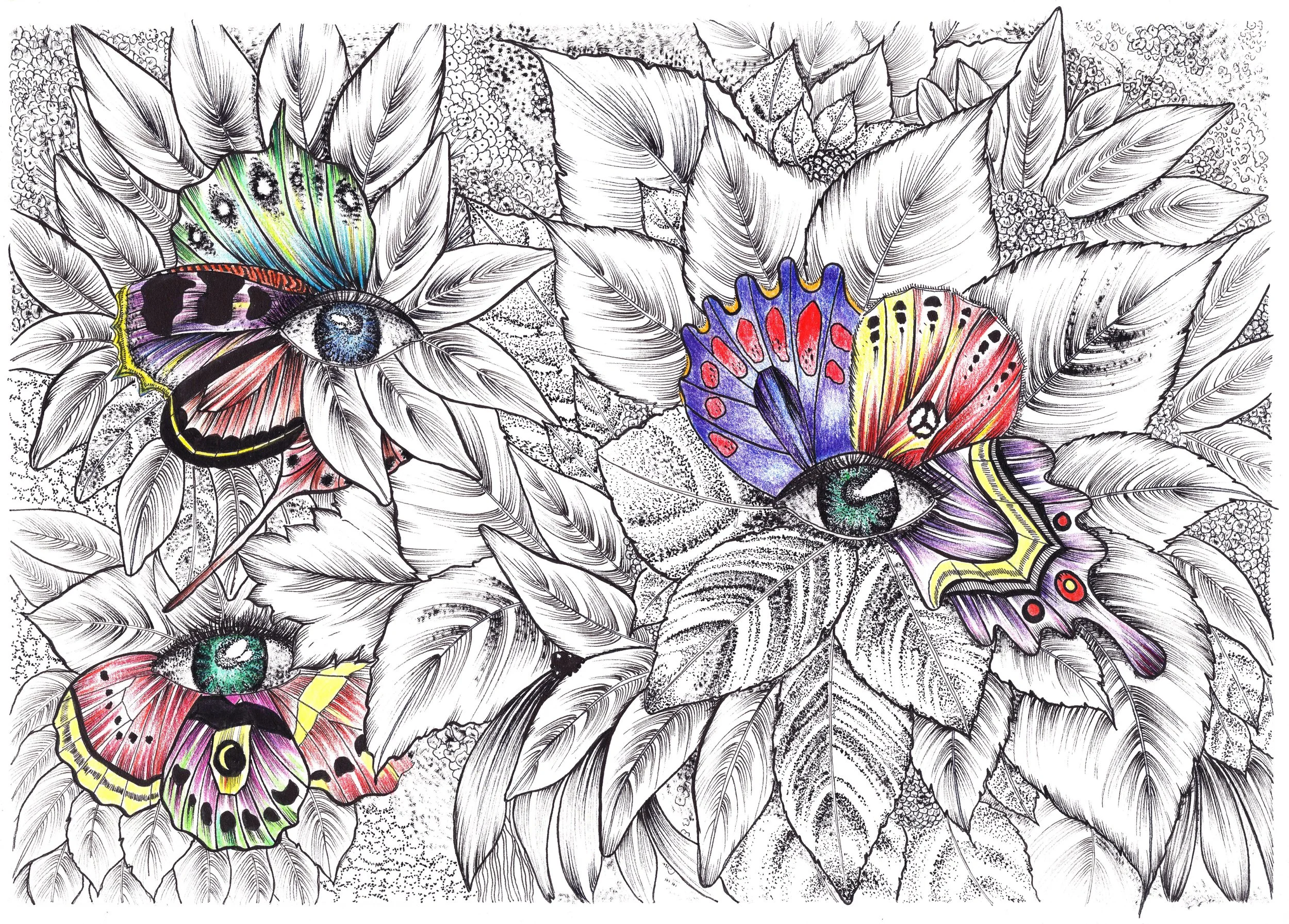 Butterfleyes
Format A4
Encre
Crayon de couleur