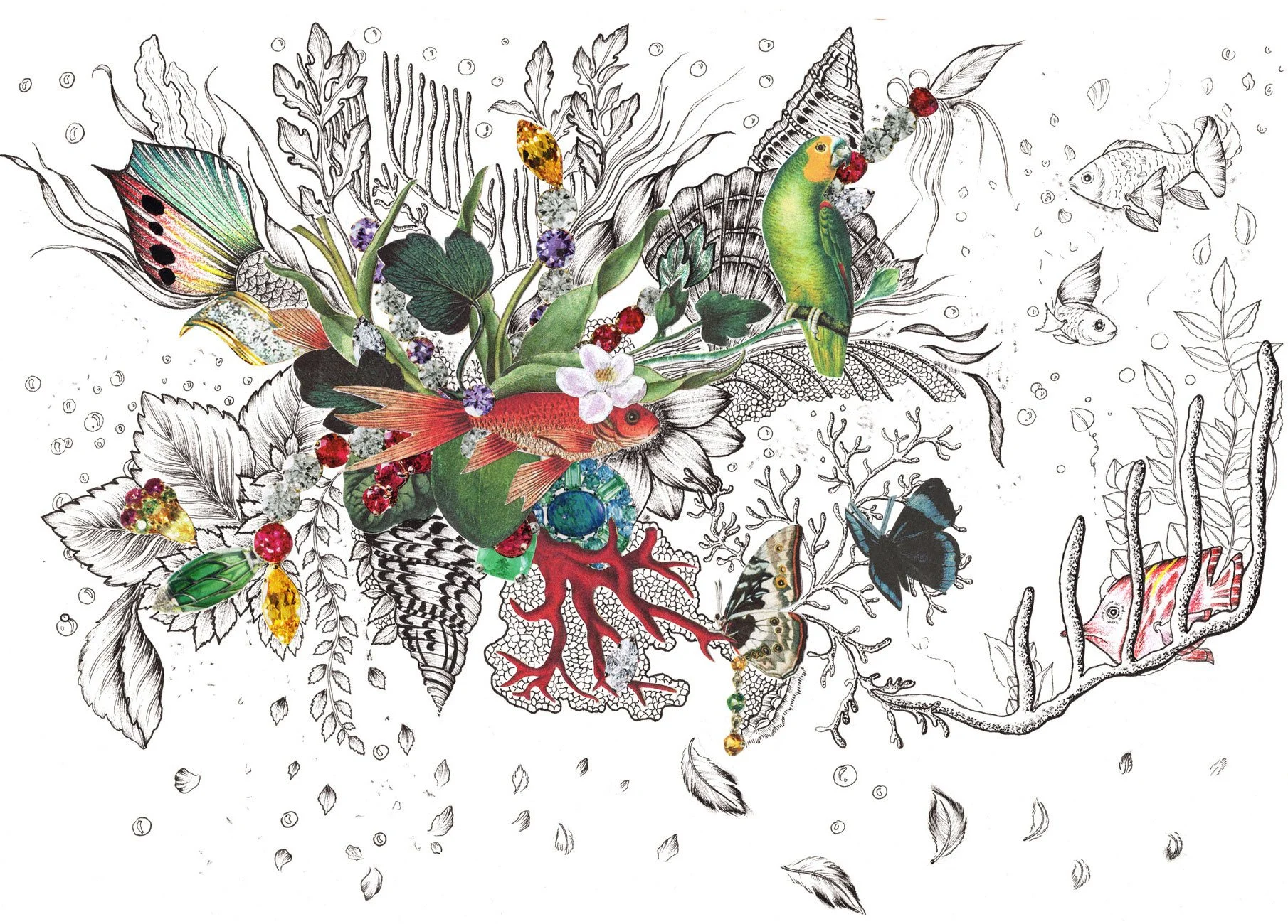 Aquarium Botanique 3
Format A4
Encre
Collages