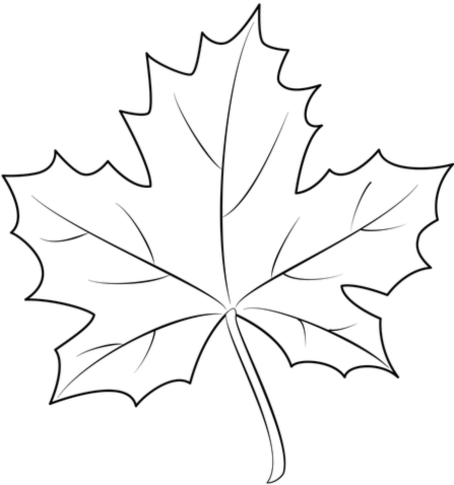 Maple Leaf Home Improvement