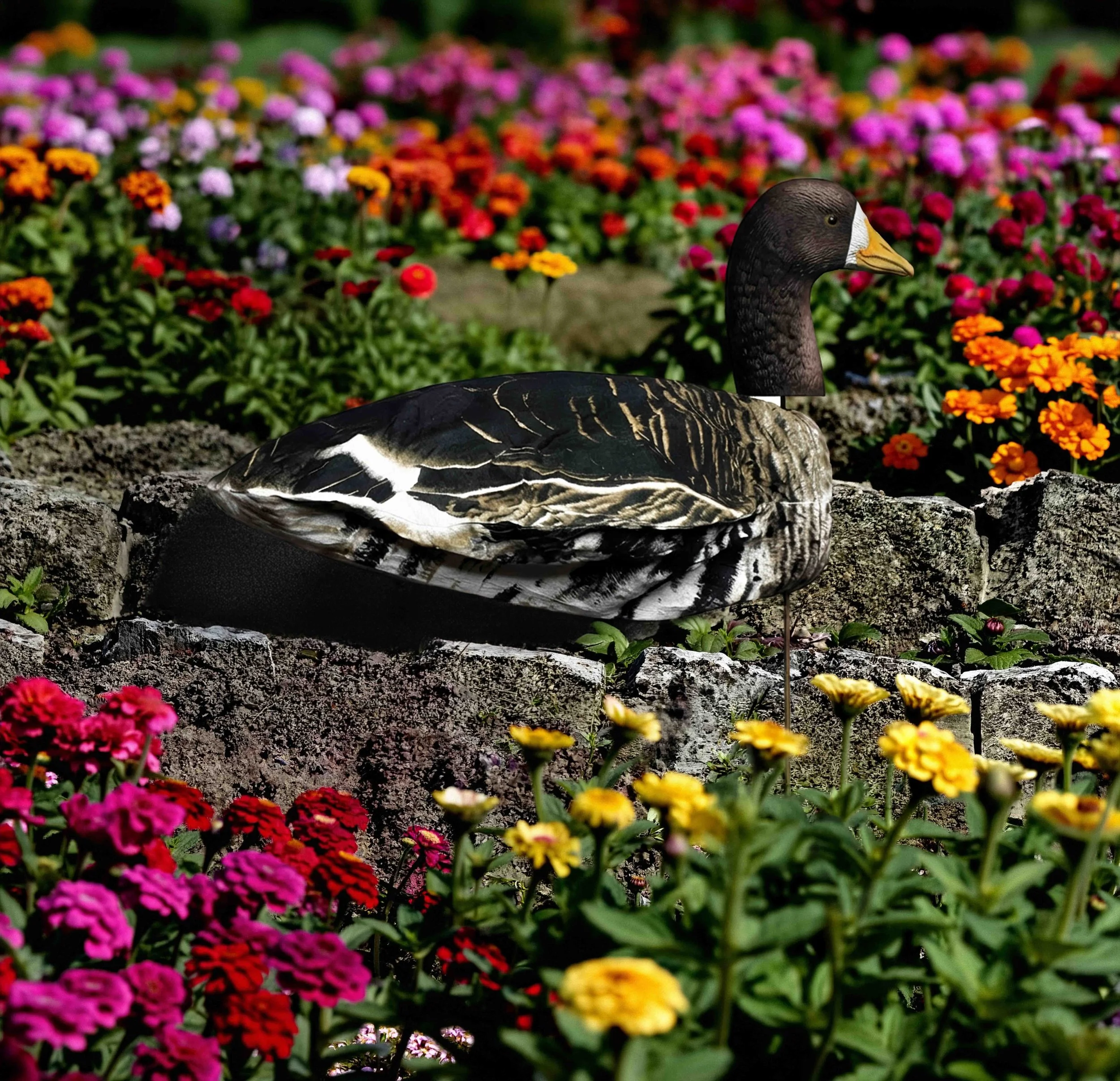 Specklebelly Single_Flower bed.jpg