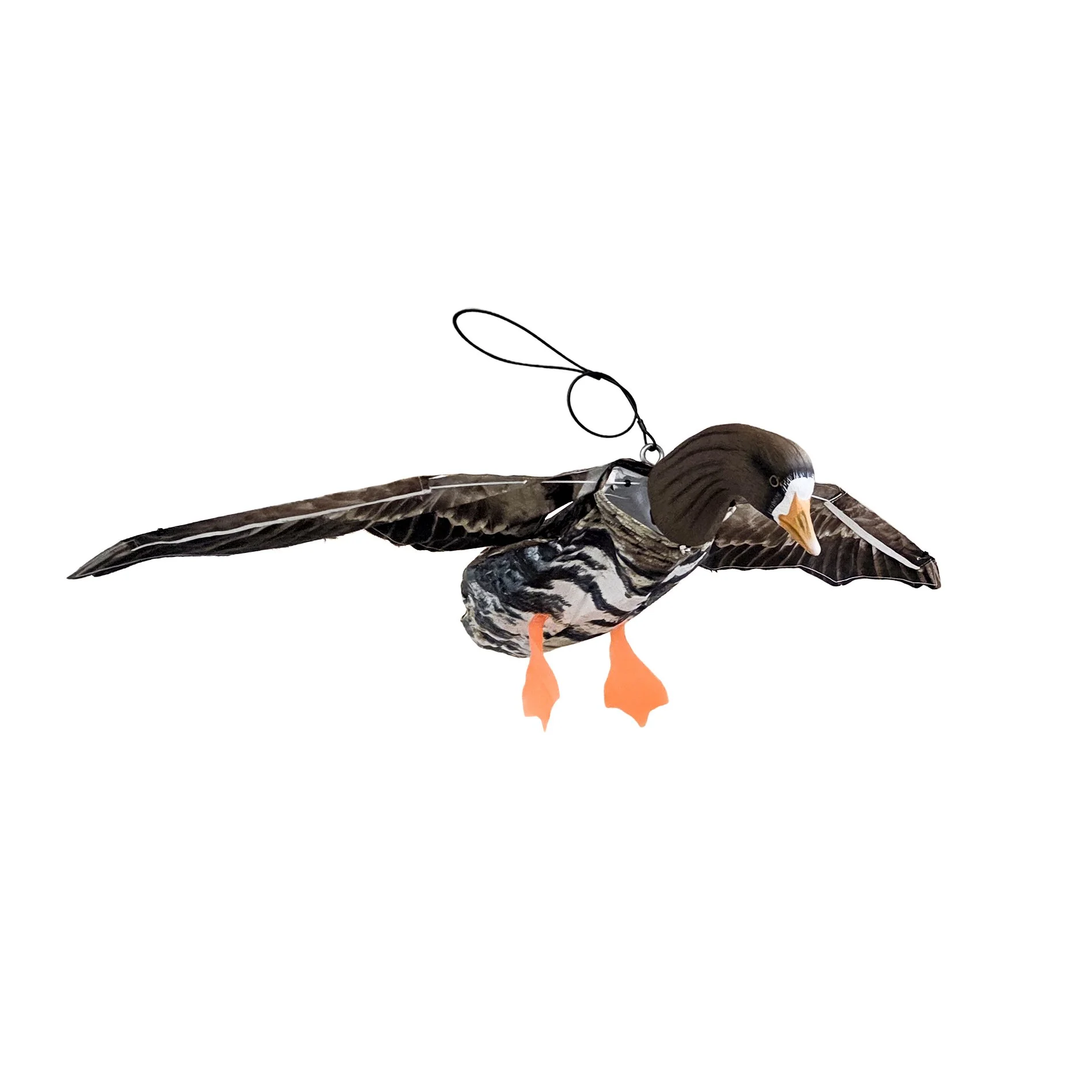 White-Fronted Flying Decoys