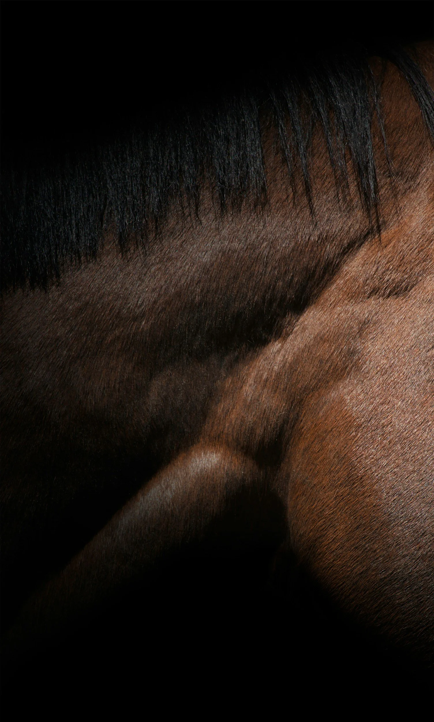Close-up of a person's face, focusing on the closed eye, part of the forehead, eyebrow, and cheek, with detailed skin texture and dark hair above.