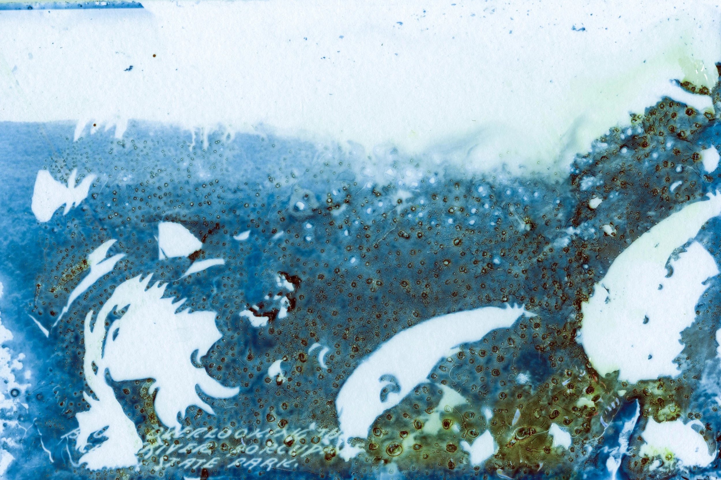 final+image+scan.jpg