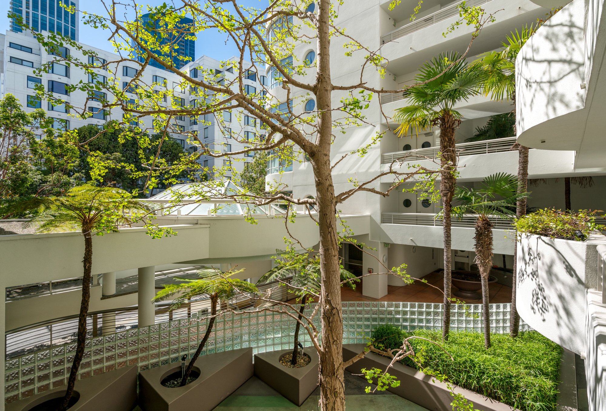 Interior courtyard with potted trees, green plants, and balconies of a white modern building, with blue sky and city buildings in the background.