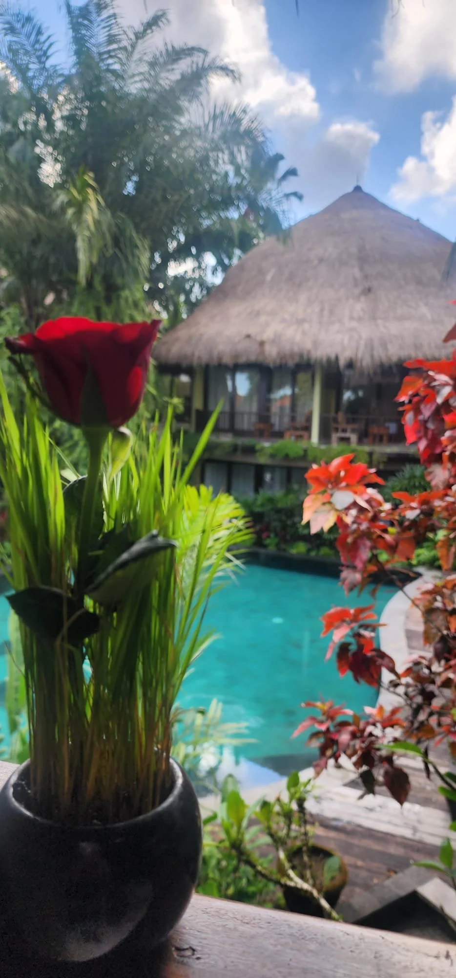 20250422_165448_5548FA 2.jpeg