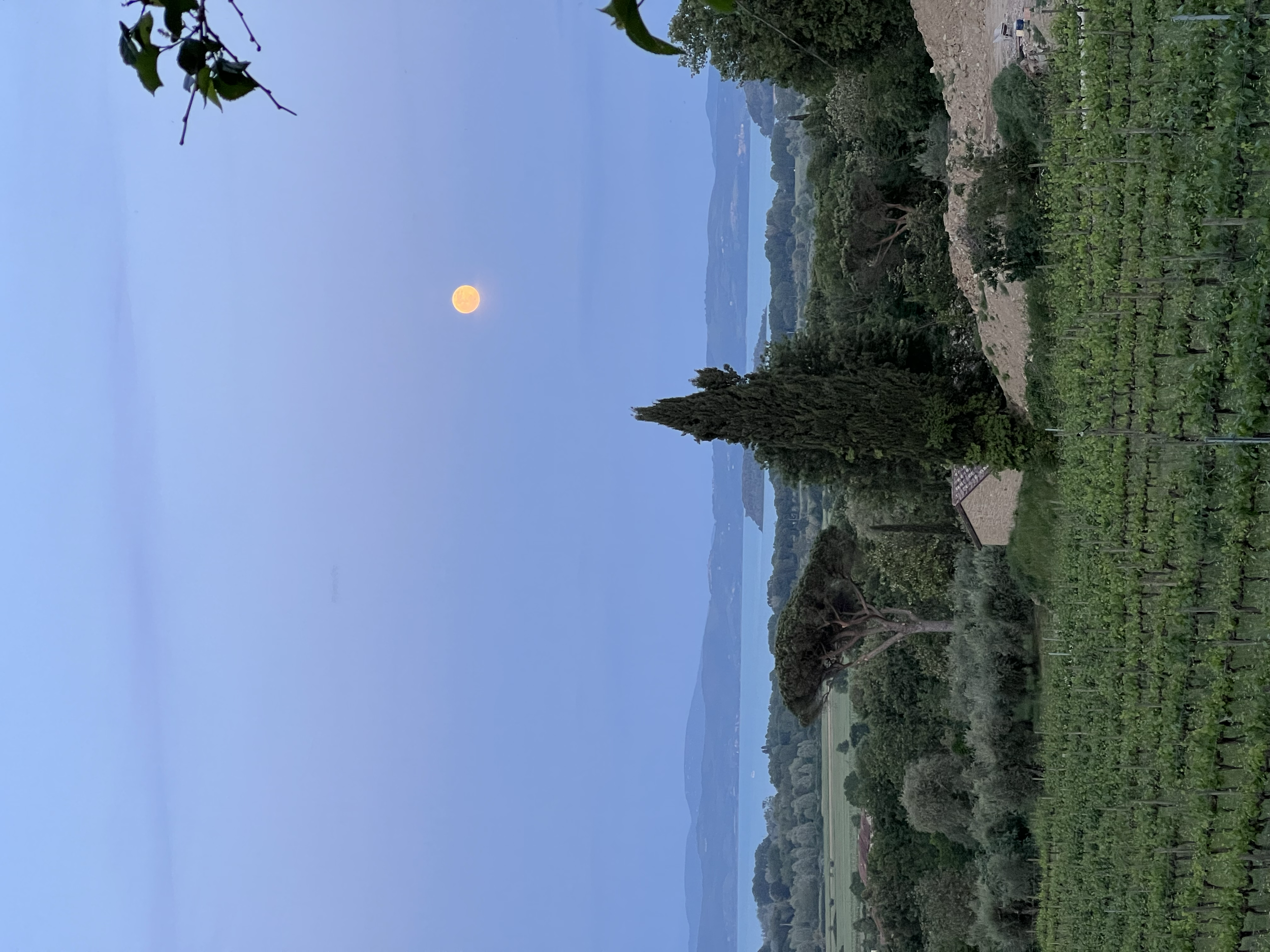 0B0EC830-901C-4ACF-A944-B3B337B258F3bYD0WY.png