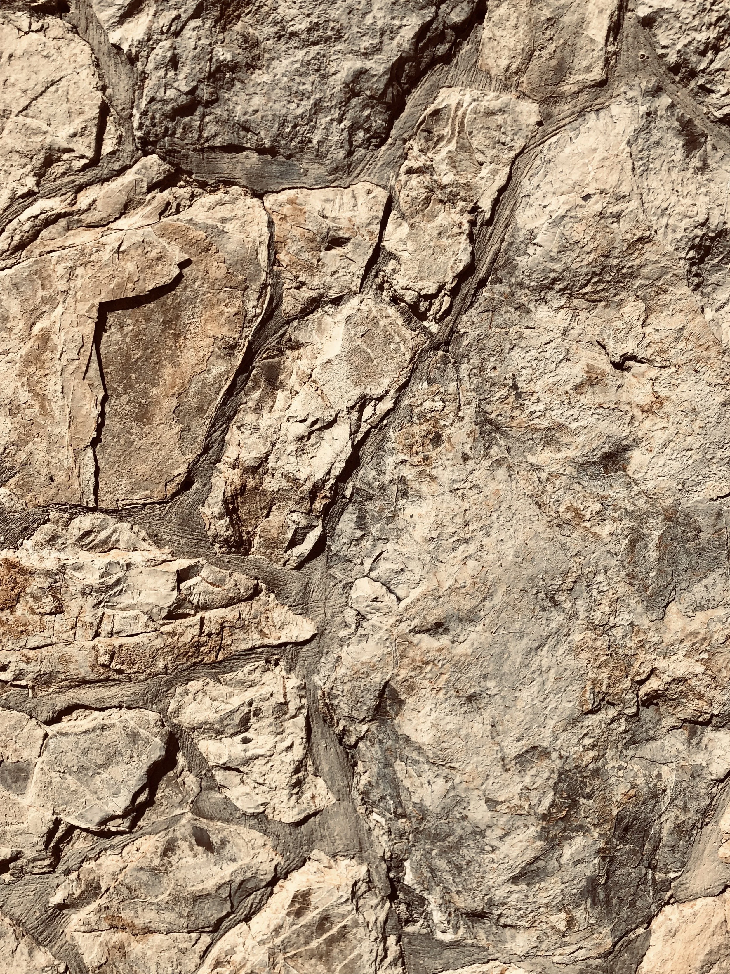 Close-up view of a rugged, textured rock surface with various cracks and crevices.