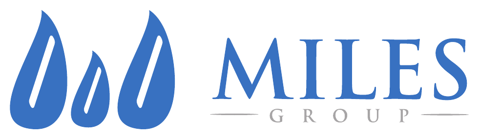 Logo for Dodo Miles Group in blue text with stylized droplet shapes.