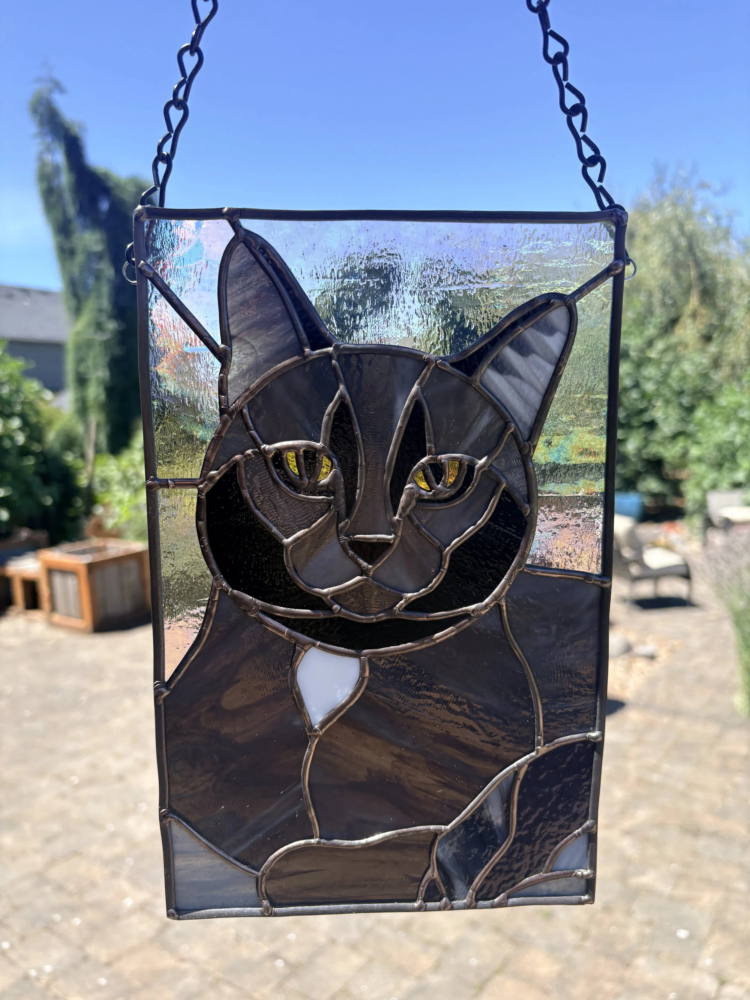 Cat Portrate.JPG