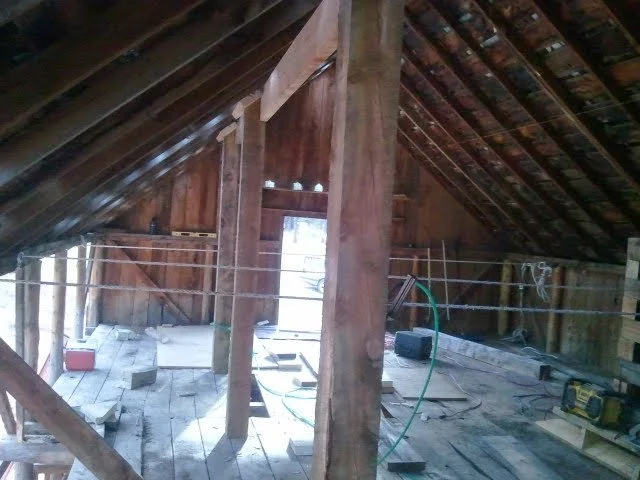 2014-10-01 08.26.14.jpg