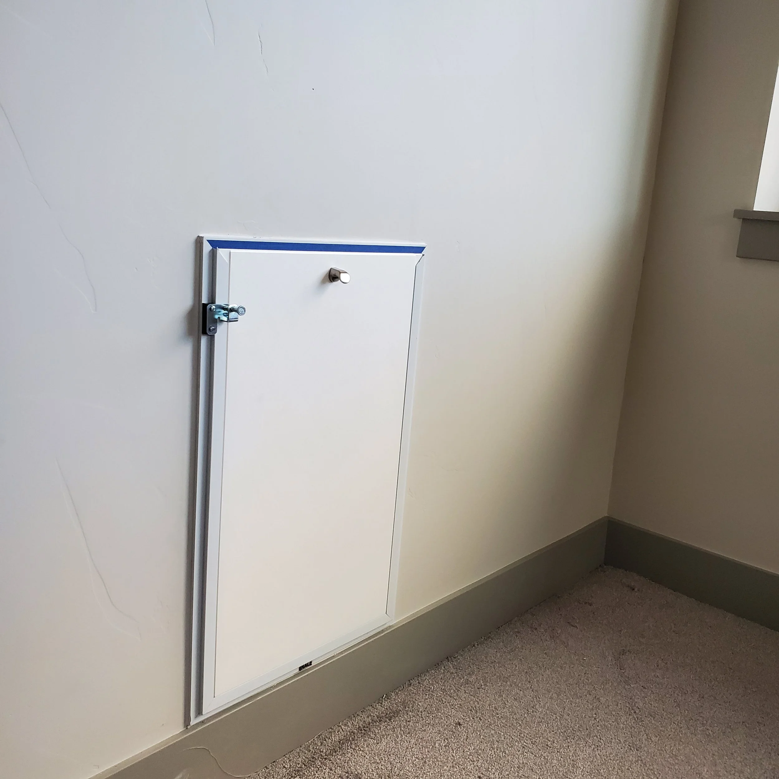 Interior view of a dog door installed in a new home. The flooring is carpeted in a brownish color.