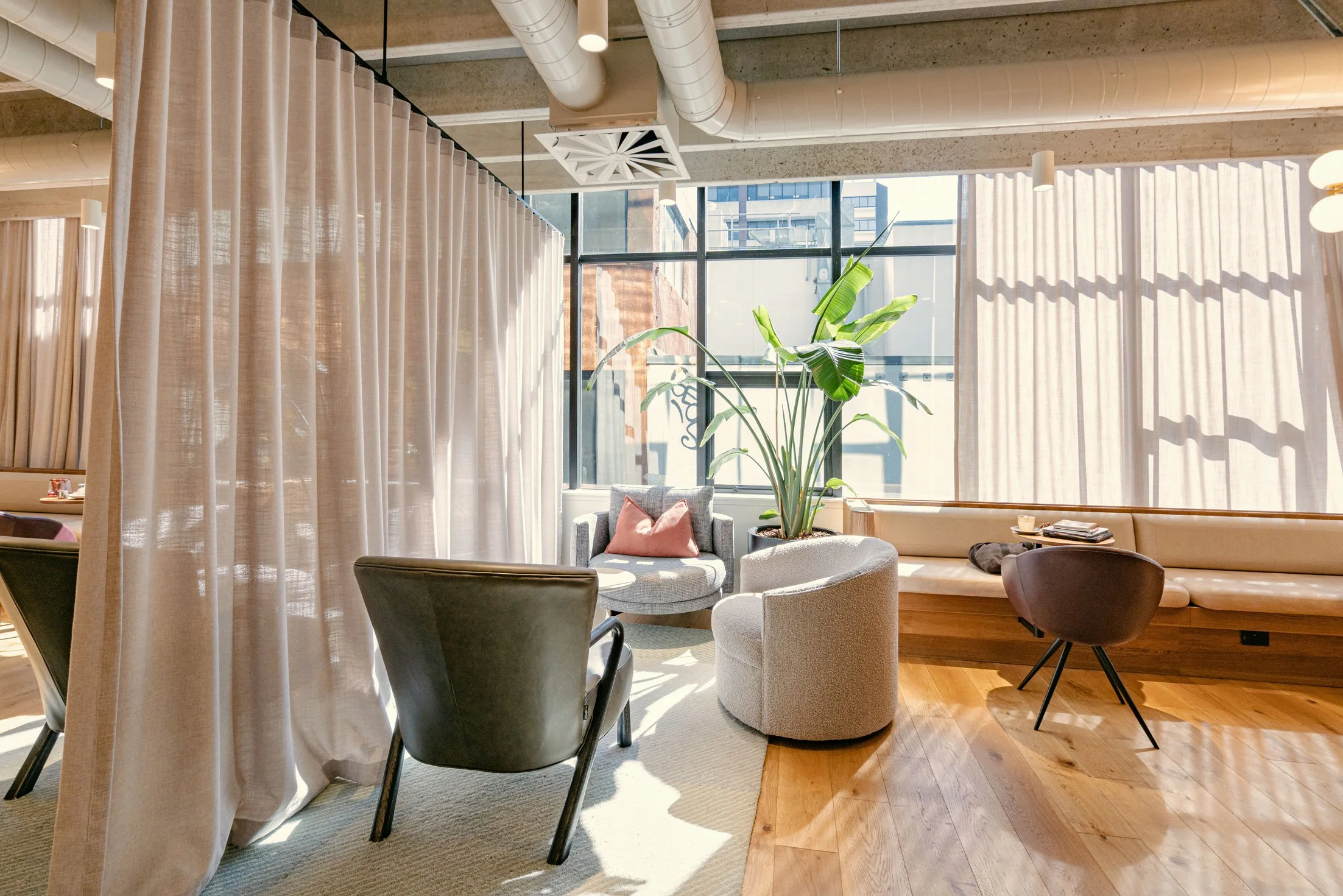 Interior of a modern lounge with large windows, beige and gray chairs, a tall green plant, and sheer curtains.