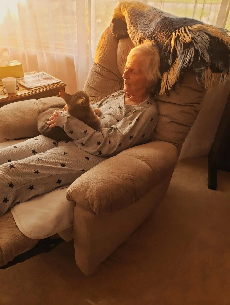 An elderly woman with white hair lying on a beige armchair, wearing pajamas with black stars, holding a gray cat in her hands, with sunlight coming through the window behind her.