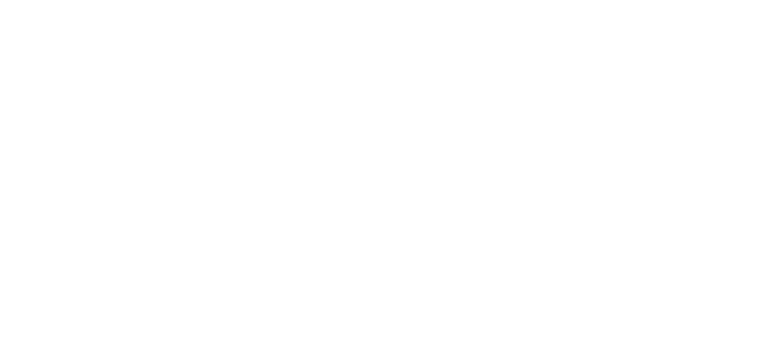 Shape Smyrna Comprehensive Plan Update