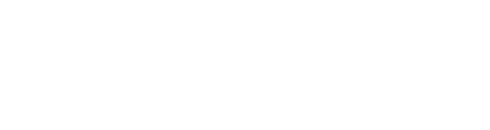 City of Smyrna Logo and Website