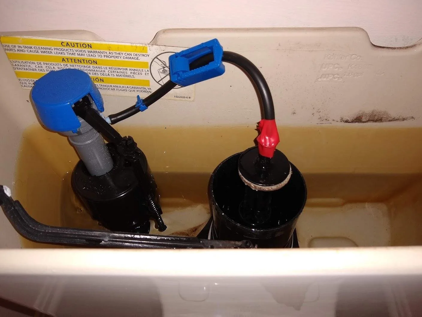 Inside a toilet tank showing a fill valve with a blue cap, a flush valve connected to a red and black flexible hose, and a yellow water level float.
