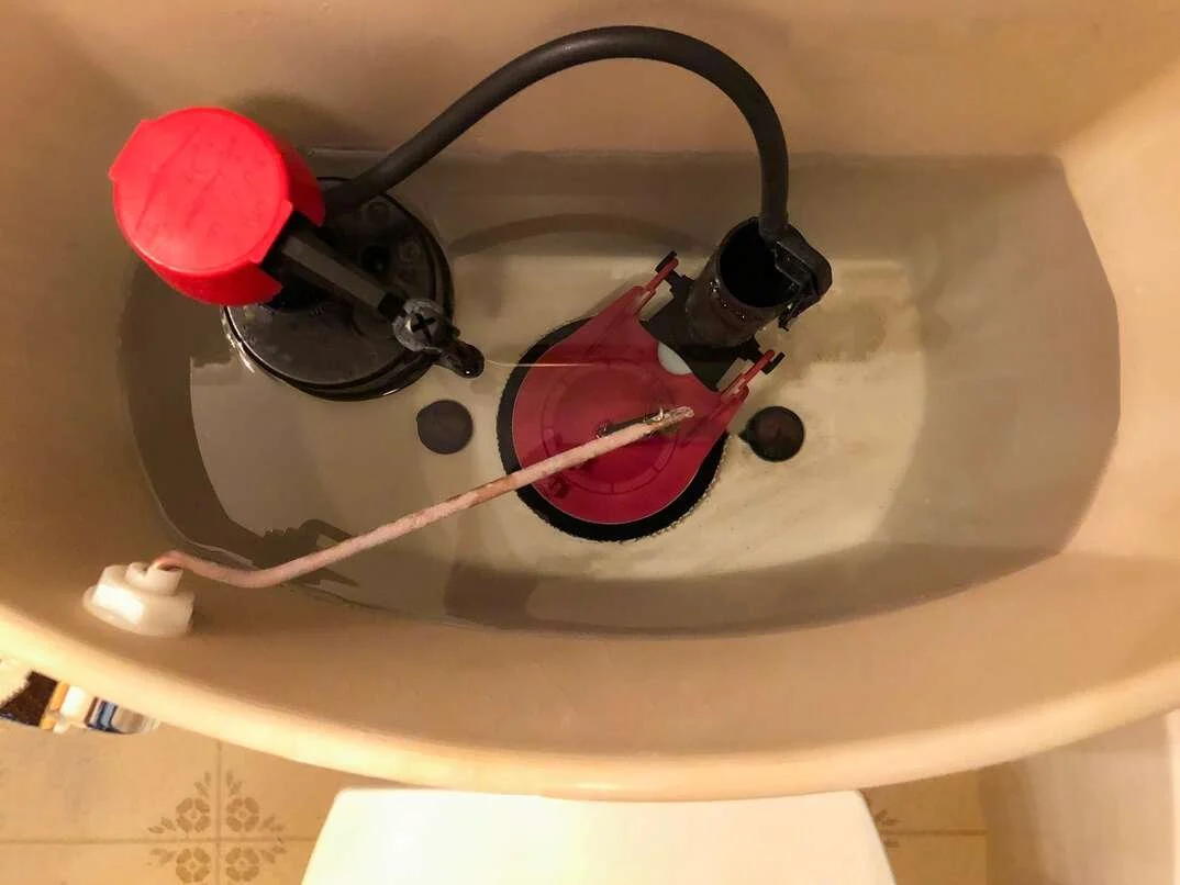 Inside a toilet tank, there is a red float valve, a black fill tube, and a chain connected to the flush mechanism.