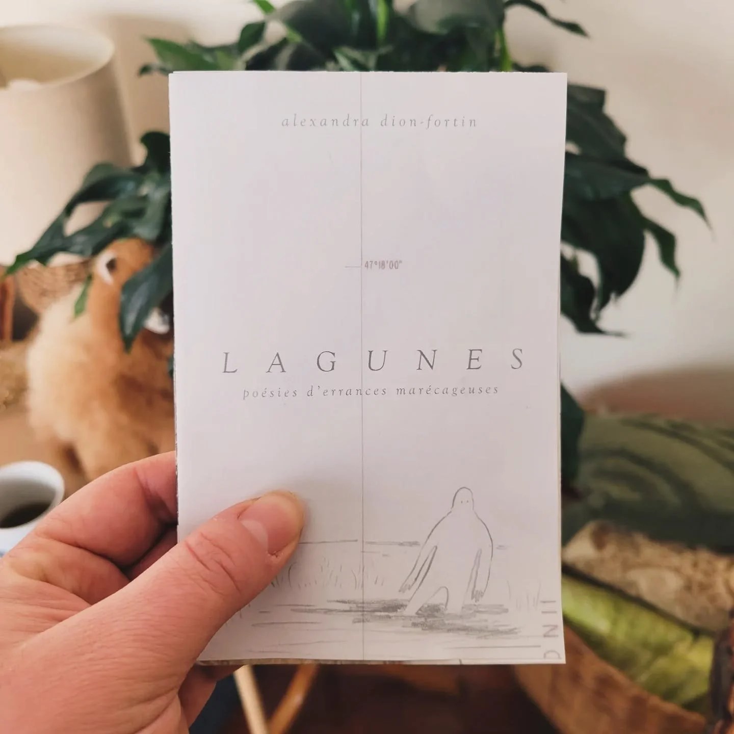 L A G U N E S