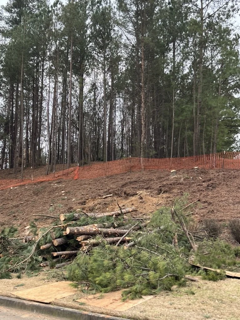 Tree debris and cut logs on an embankment near a forest, with orange construction barrier fencing at the top of the slope.