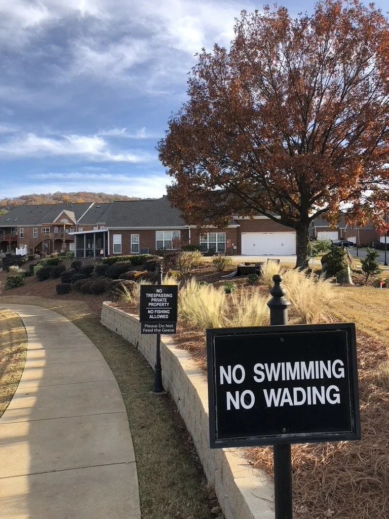 A sidewalk next to a garden with signs that read 'No Swimming No Wading,' in a residential area with houses, trees, and a cloudy sky in the background.
