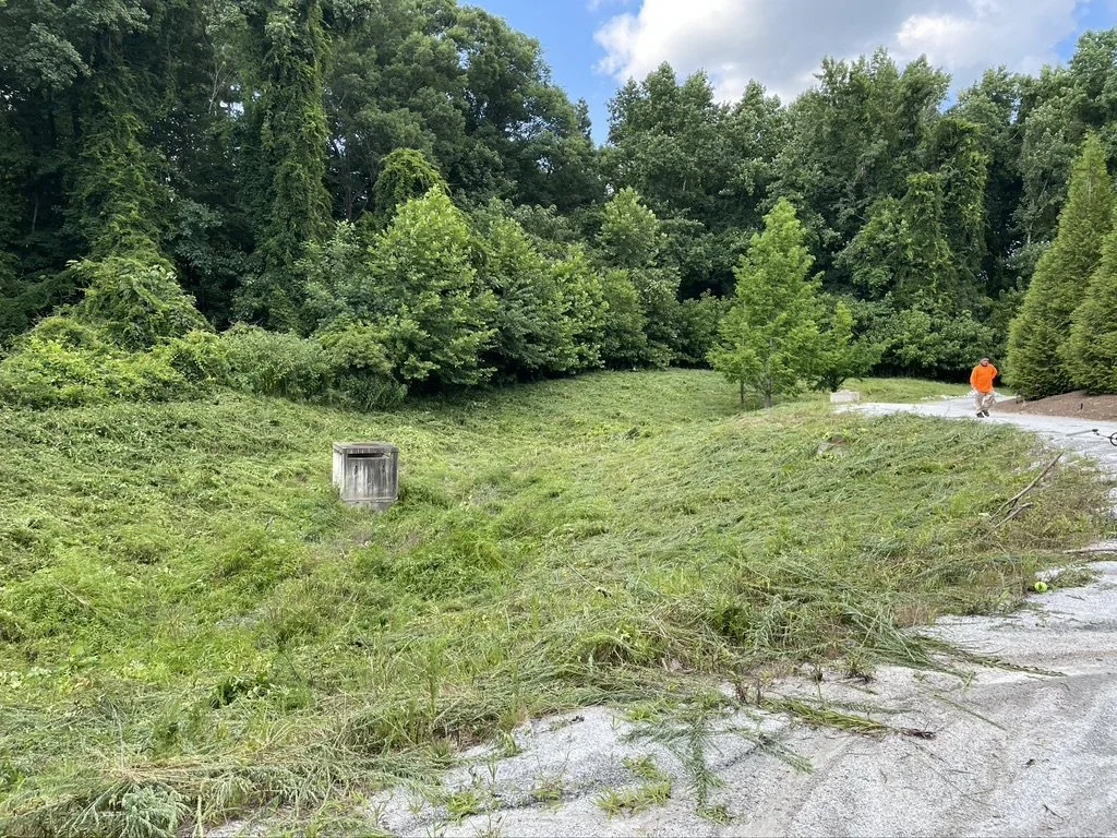 A grassy area with a few small trees, a trash bin, and a person in an orange shirt walking along a path, with a dense treeline in the background and partly cloudy sky.