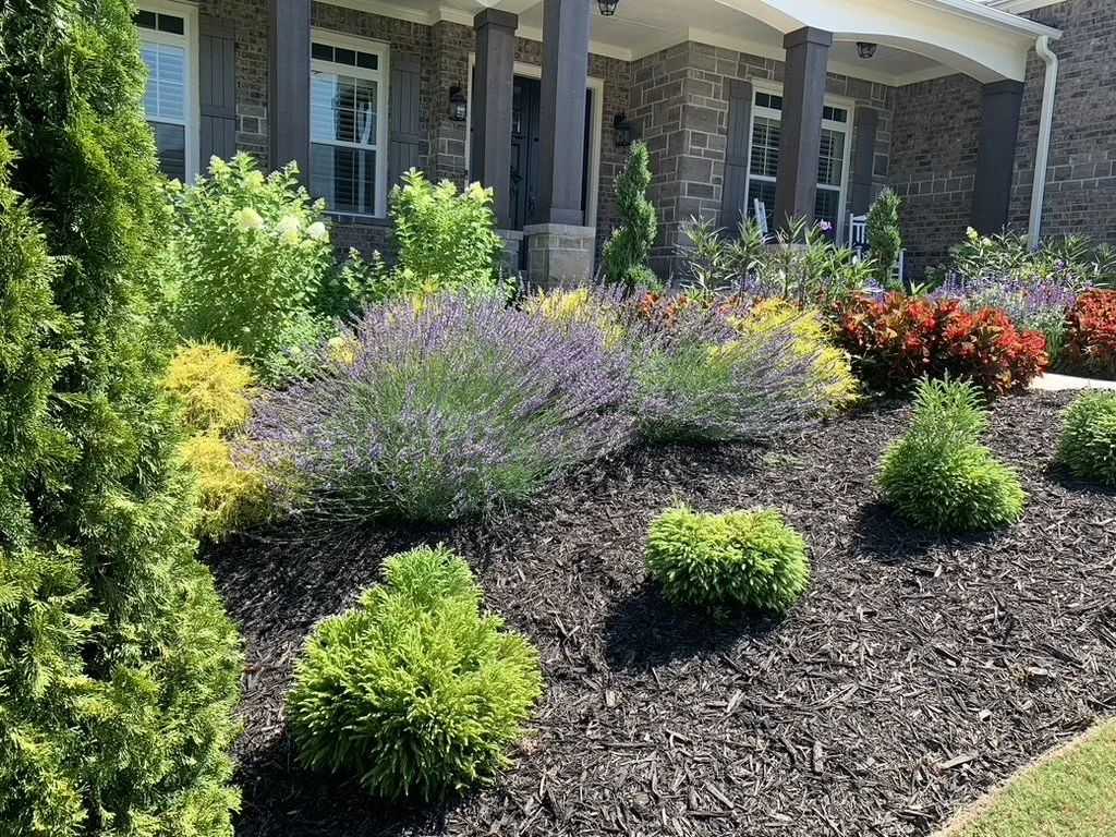 Front yard garden with various green shrubs, purple flowering plants, and red flowering plants in front of a brick house with columns.