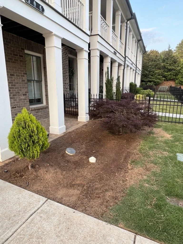 Front yard of a townhome with several plants and a black metal fence, sidewalk in the foreground, and some outdoor lighting fixtures buried in the soil.