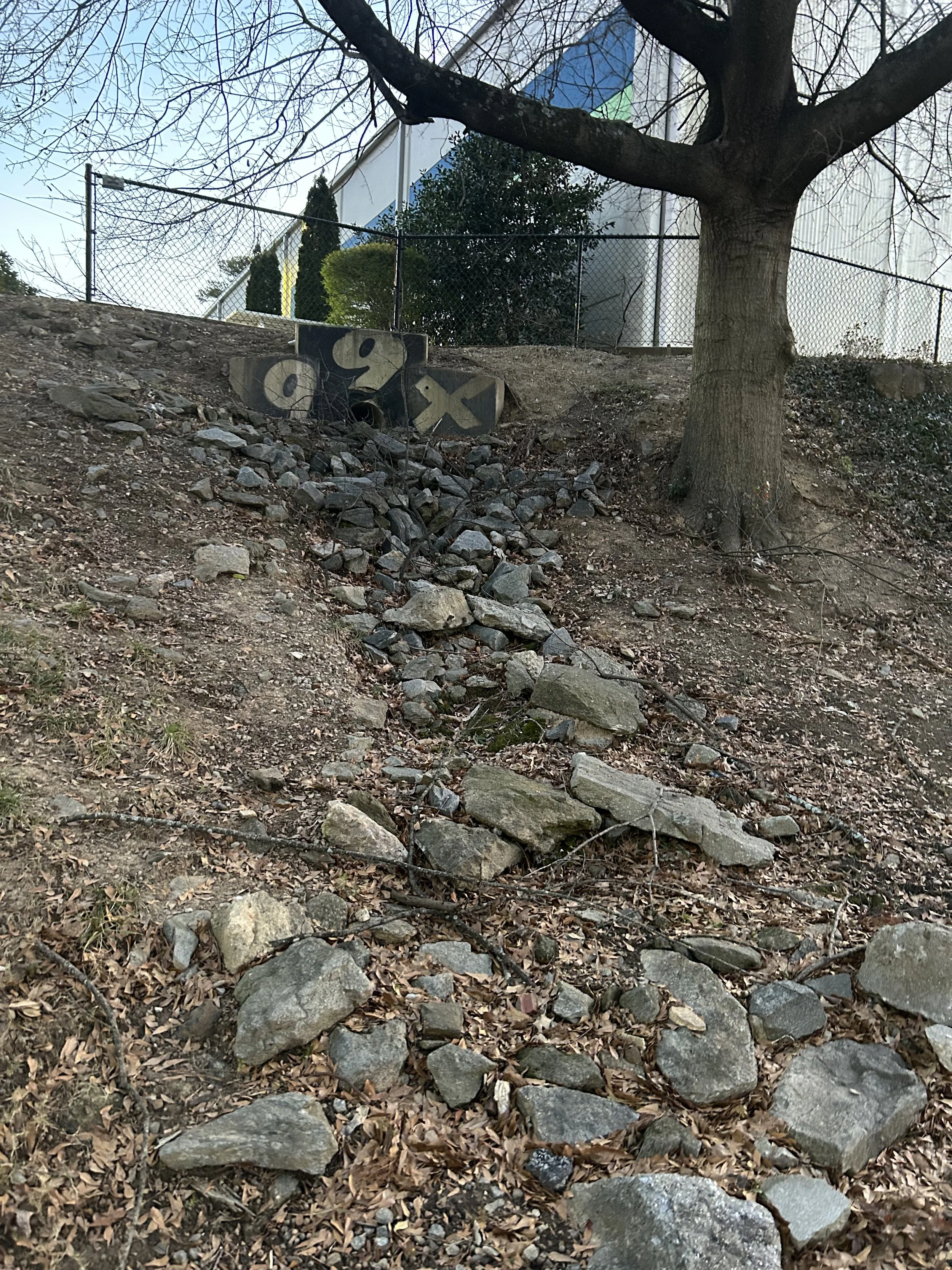 A hillside with rocks and dried leaves, a small concrete block with numbers painted on it, a large tree trunk, and a chain-link fence with shrubs and a building in the background.
