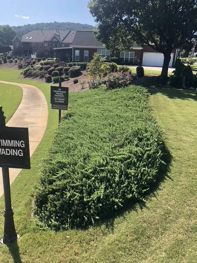 A landscaped garden with a curved sidewalk, bushes, and a large tree in front of a residential building. There are signs indicating no trespassing, no fishing, and feeding the geese.