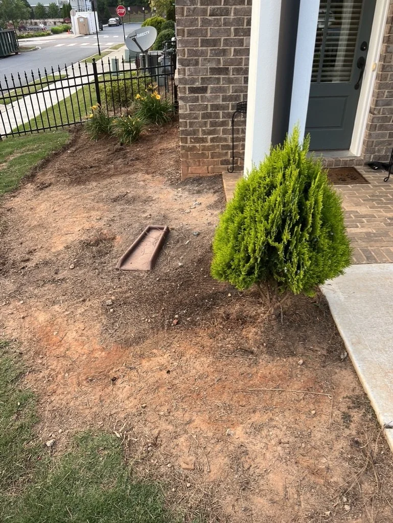 Front yard with a small green bush near a brick house, dirt and patches of grass, a narrow pathway, a satellite dish, and a black metal fence in the background.