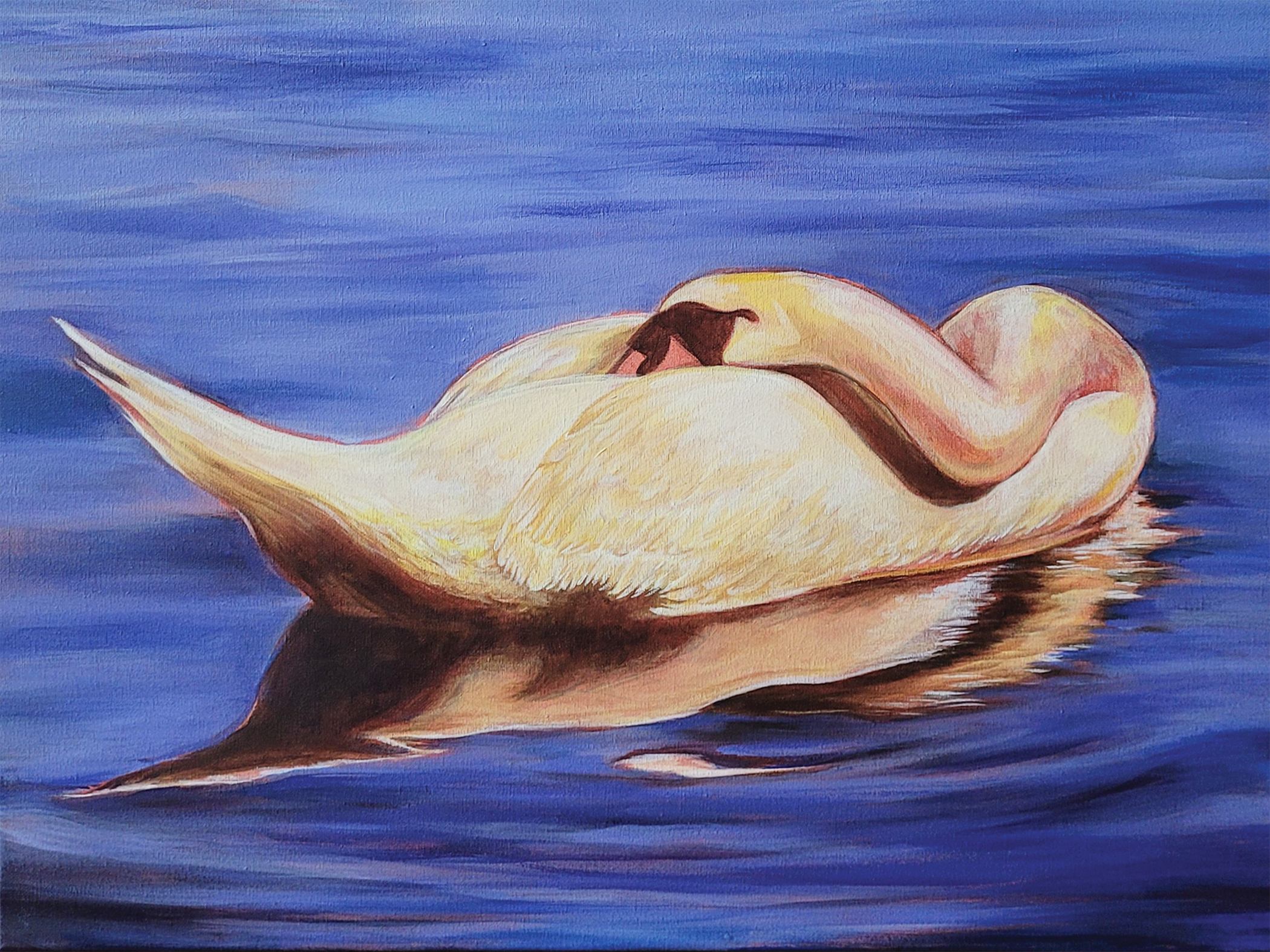 Swan Solitude, 2025, 24x18"