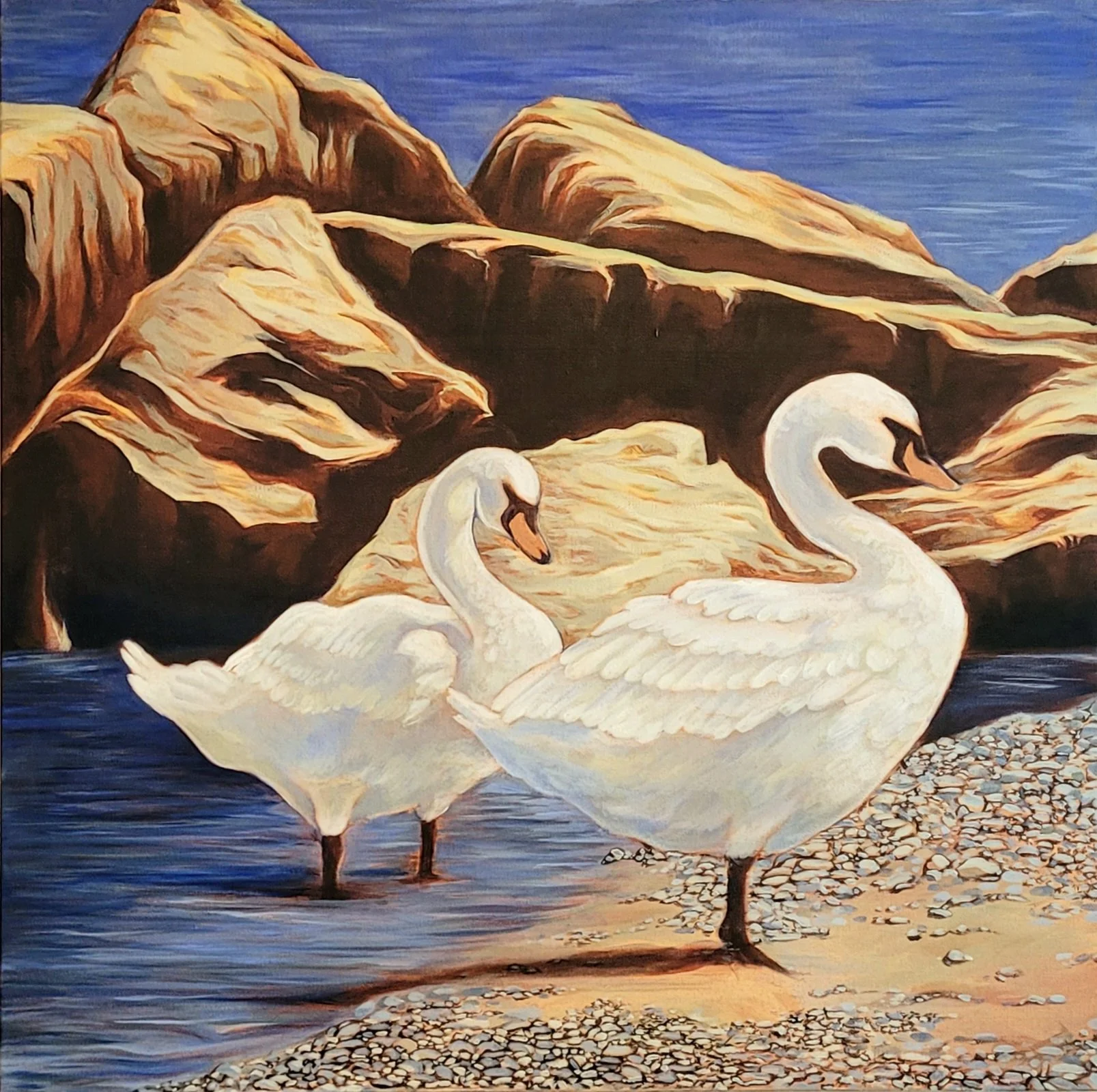 Swan Couple, 2025, 24x24"
