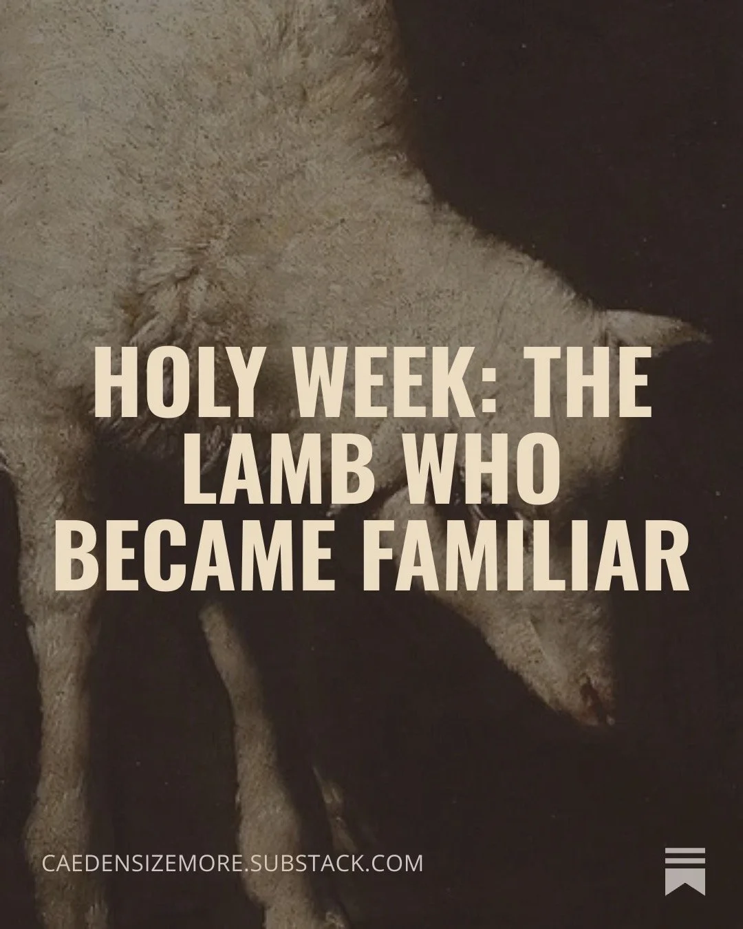 A sheep laying down on a dark surface with the overlay text, 'Holy Week: The Lamb Who Became Familiar,' and a website address at the bottom.