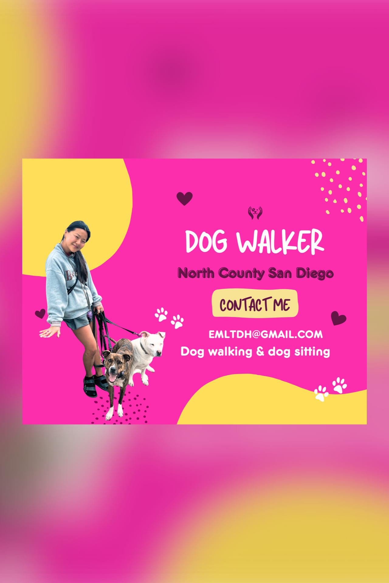 Great local dog walker!
