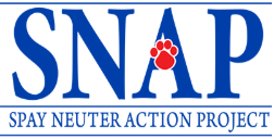 Low Cost Spay & Neuter