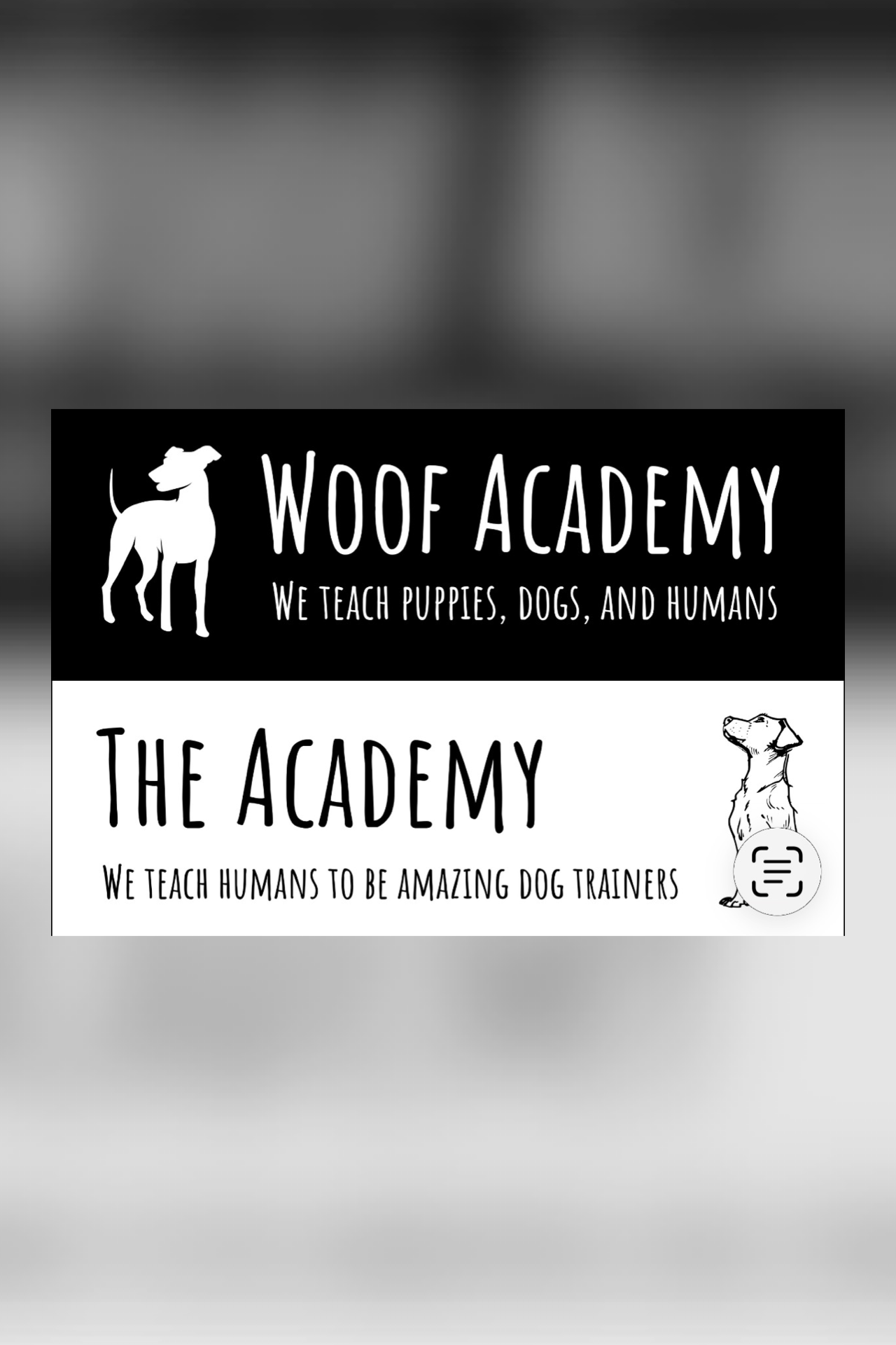 Looking to find a tailored training program?Woof Academy has a brand new facility that offers daycare, puppy training and adult classes with a focus on socialization.