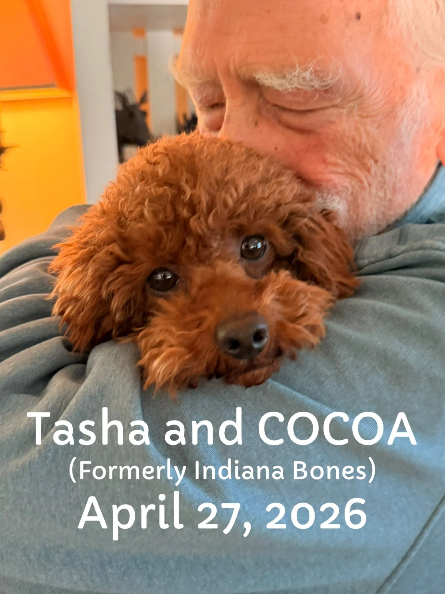 Cocoa.JPG