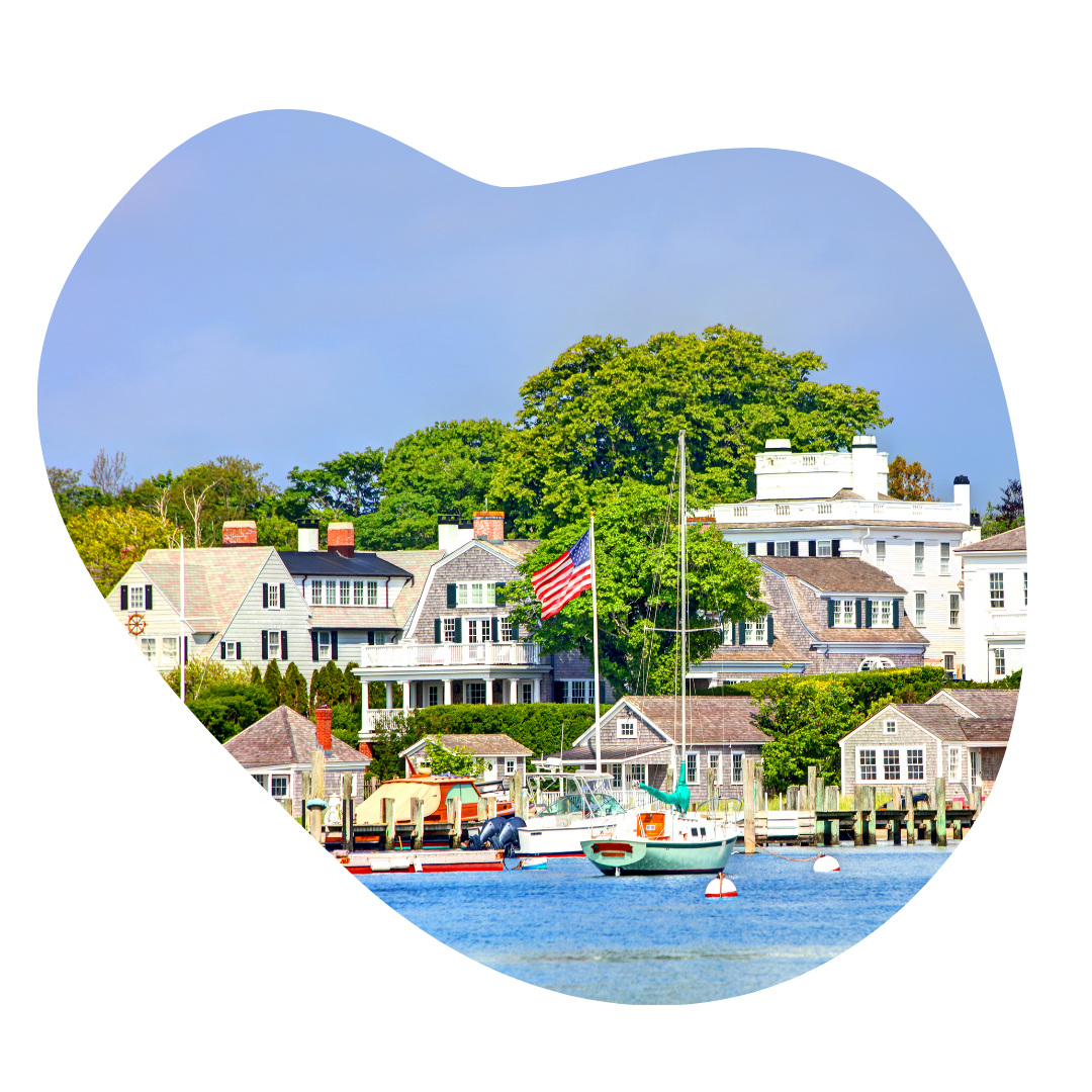 Boats docked on a waterfront with houses and large trees in the background, and an American flag flying.
