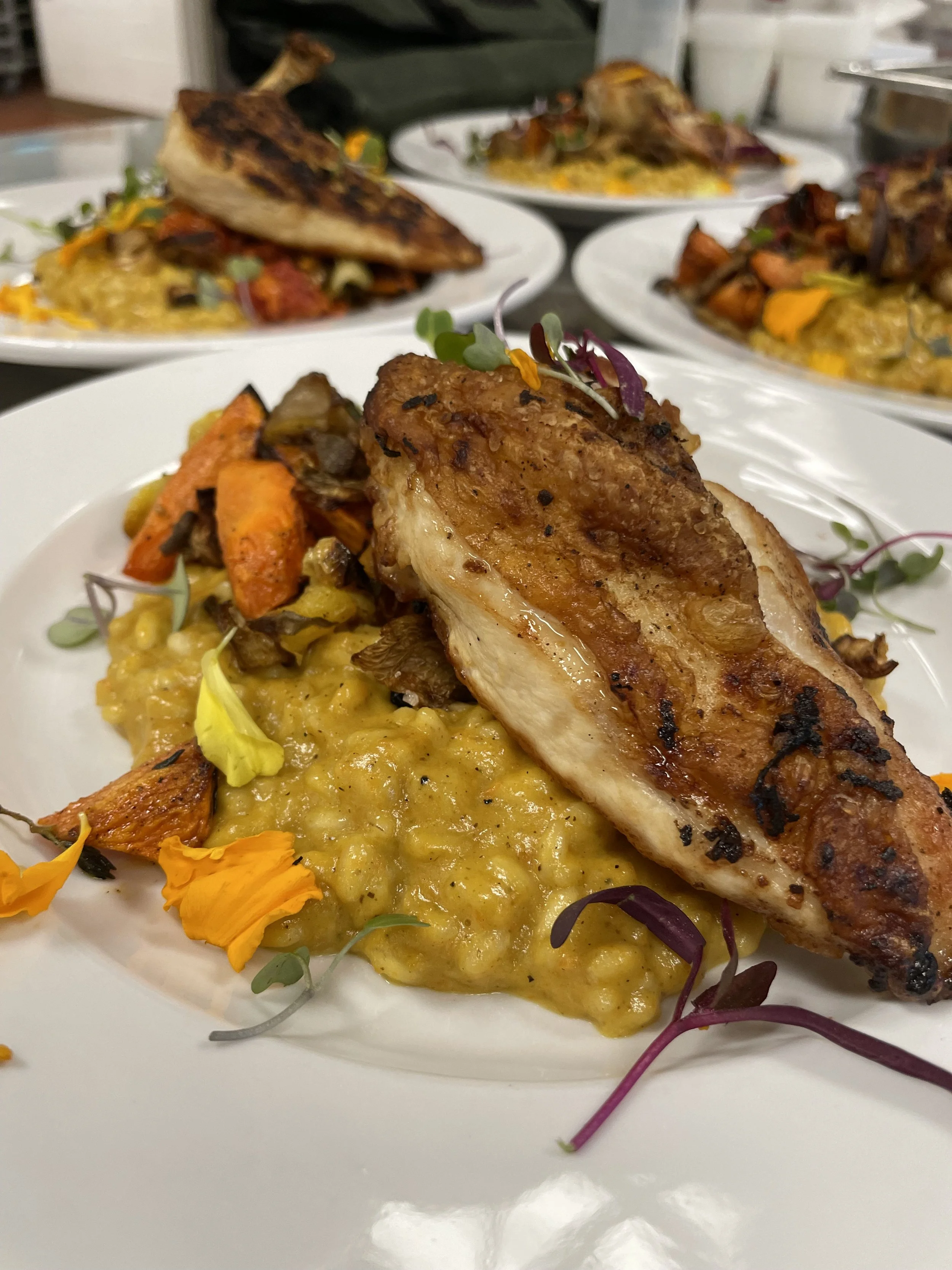 Plated meal of risotto, roasted veggies, grilled chicken