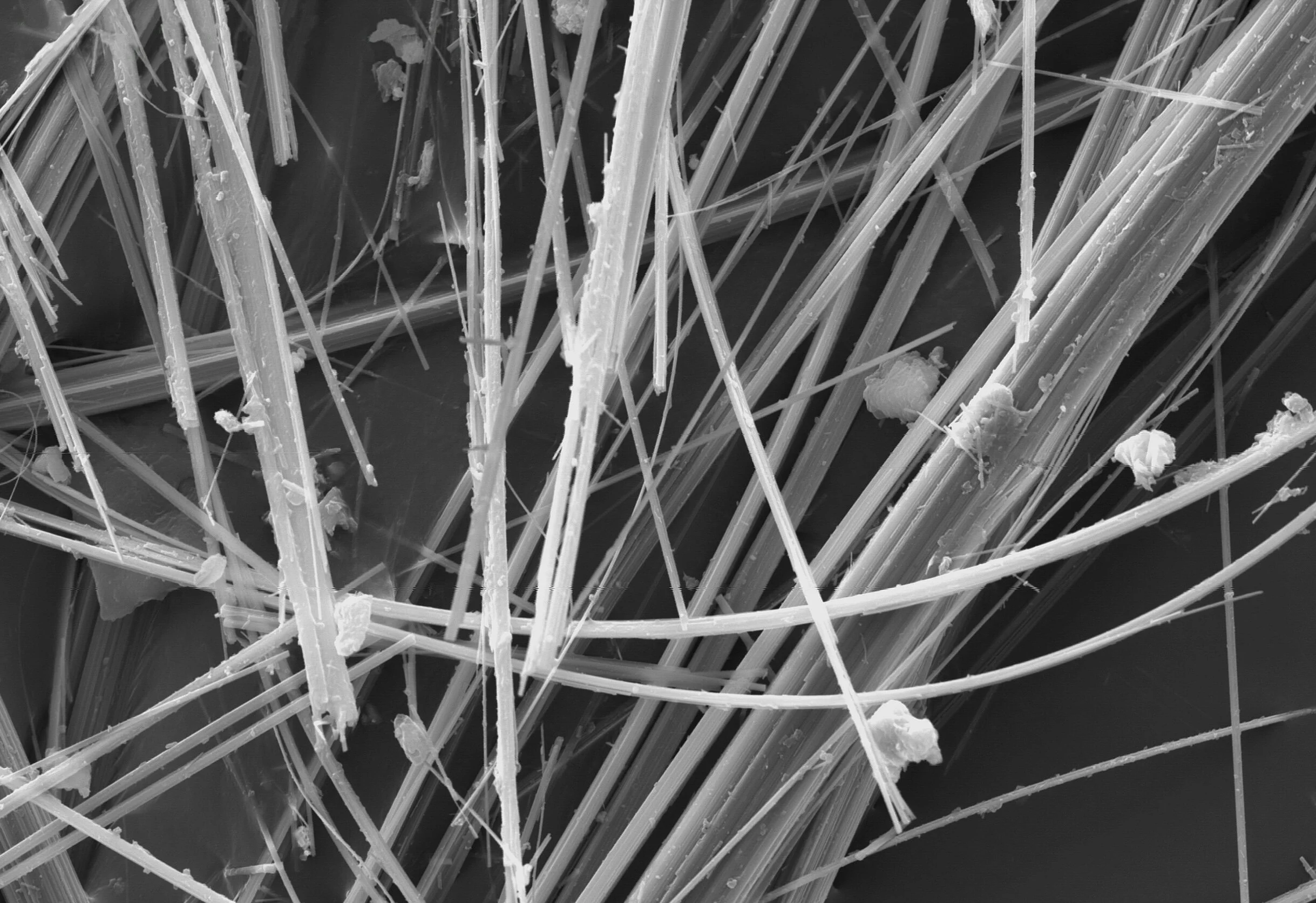 Asbestos fibers seen under a microscope.