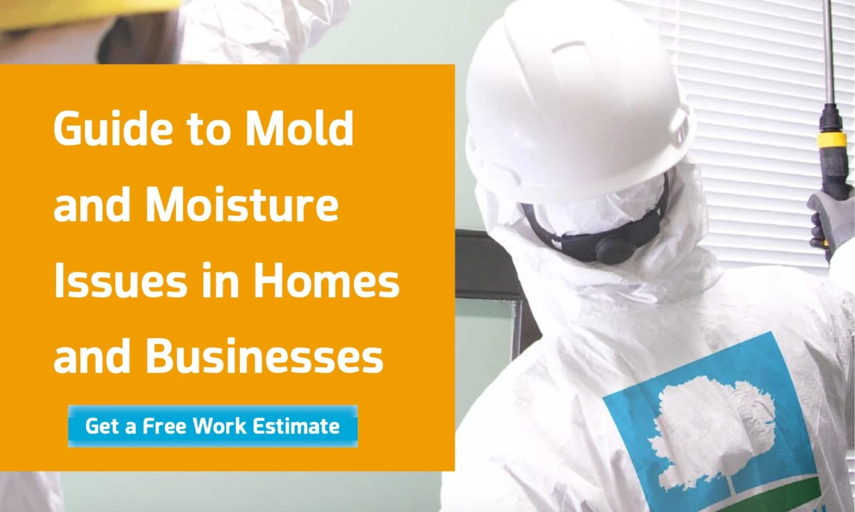 Cromwell's Guide to Mold and Moisture