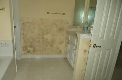 Black mold in a bathroom
