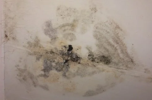 Black mold inside a house