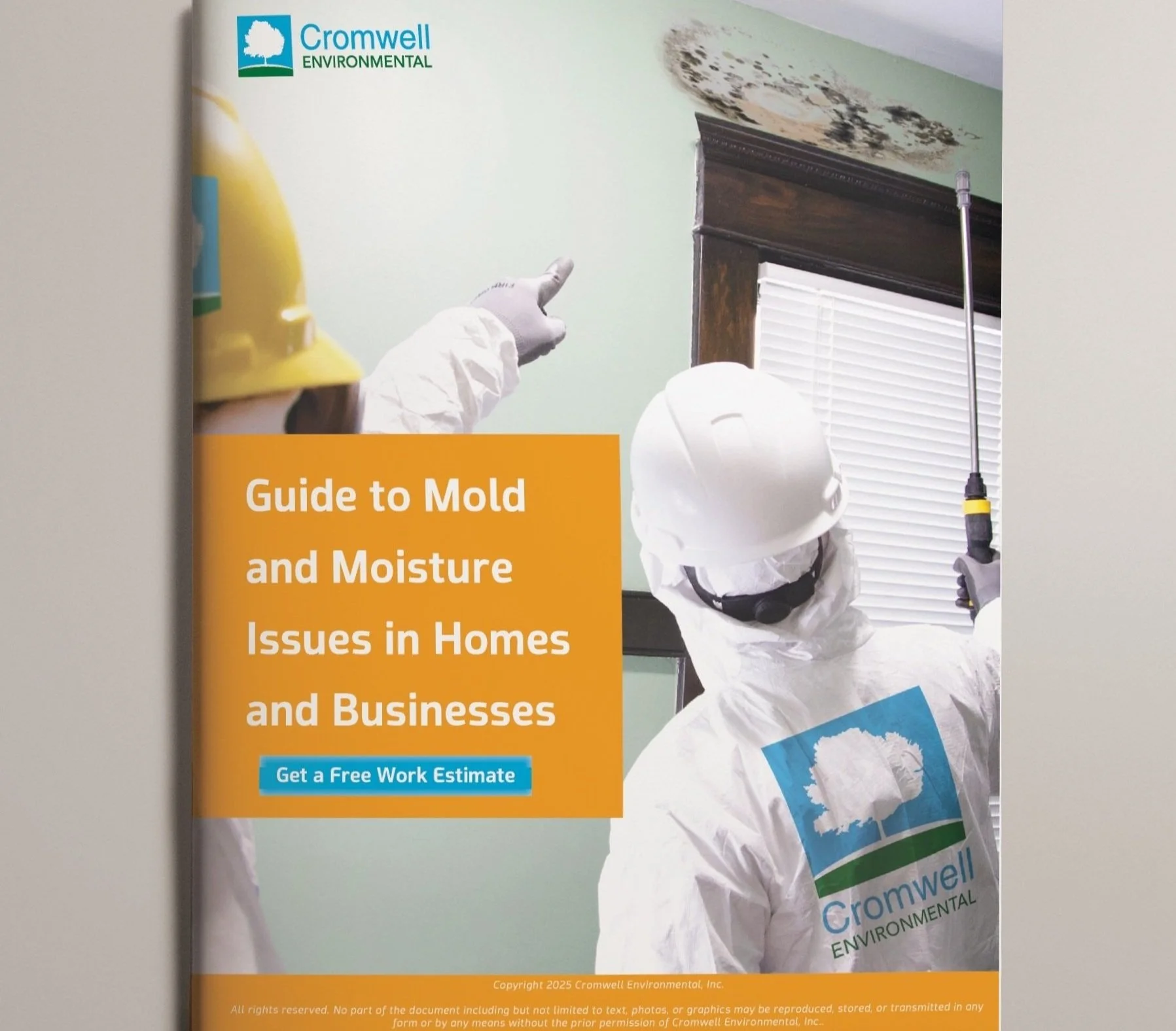 Cromwell's Guide to Mold Removal