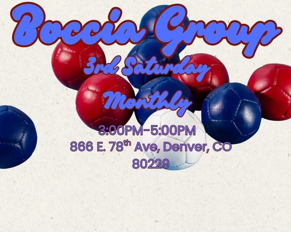 Boccia Ball 