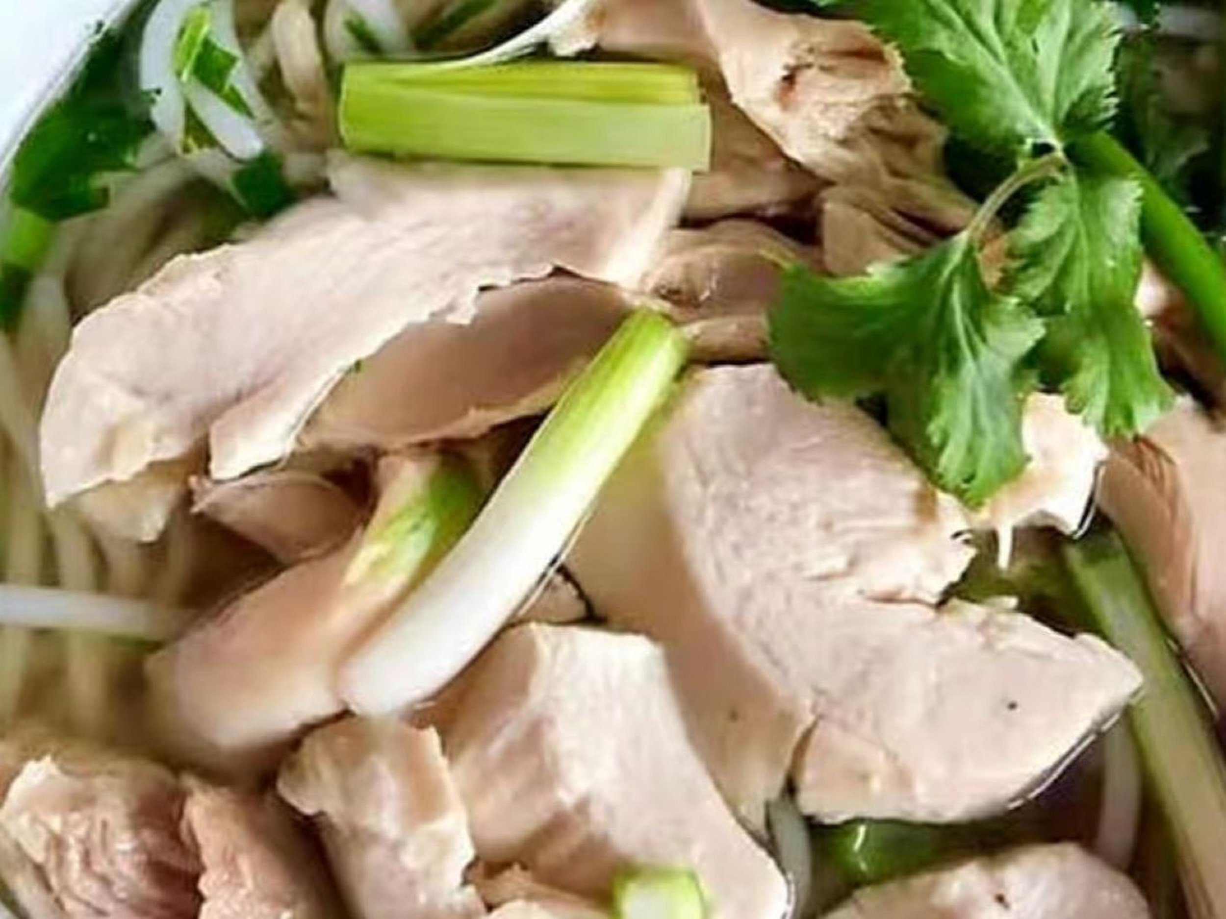 Close-up of sliced chicken and chopped green onions with cilantro on top.